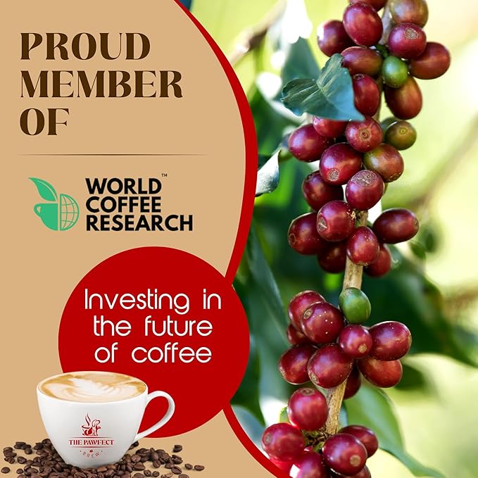 Dog Lovers’ Coffee – Bali Blue Moon by The Pawfect Brew | Medium-Dark Roast Drip 2LB| Single-Origin Specialty Grade Freshly Roasted | 25% Profits Donated to Animal Rescue