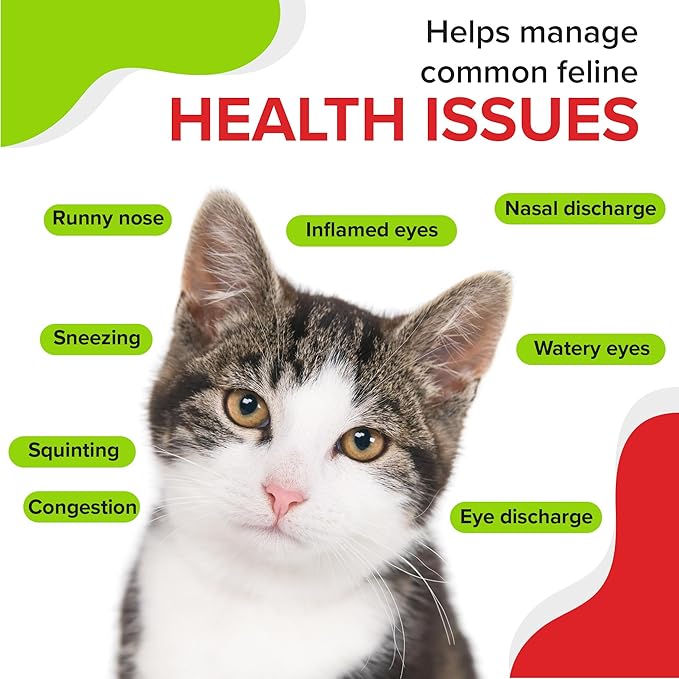 Trulysine Viralysine Gel L-Lysine Supplement for Cats 10 oz - Cats &amp Kittens of All Ages - Immune Health - Sneezing Runny Nose Squinting Watery Eyes - Palatable Maple Flavor