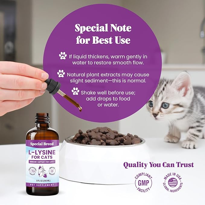 L-Lysine Supplement for Cats &amp Kittens – Immune Support Liquid for Feline Respiratory Health Sneezing Runny Nose &amp Watery Eyes – 250mg Lysine Cat Drops with Vitamins Complex – Chicken Flavor