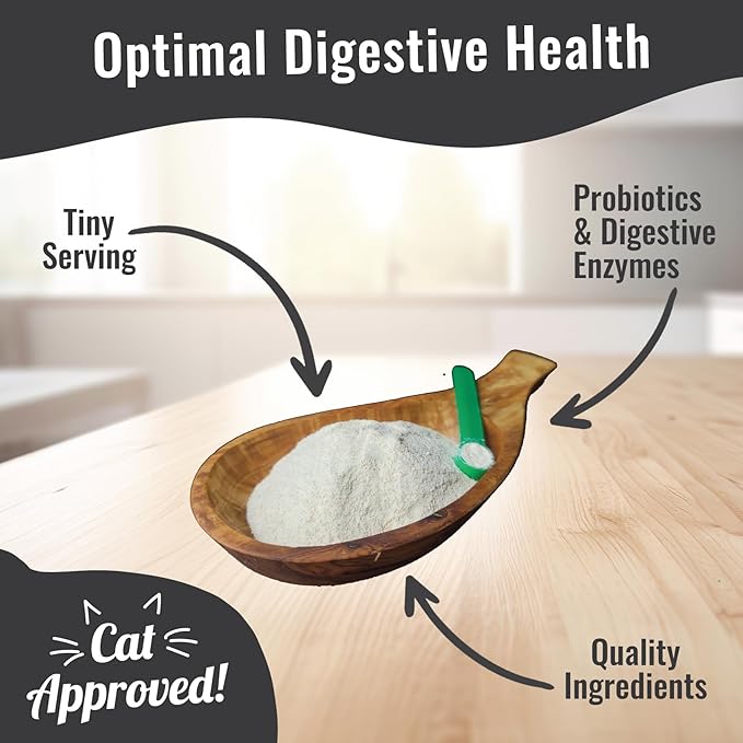 Probiotic Max - 10 Billion CFU per Gram - Prebiotics - 8 Live Beneficial Microorganisms Probiotics and 12 Digestive Enzymes in an Organic Whey Base 8oz