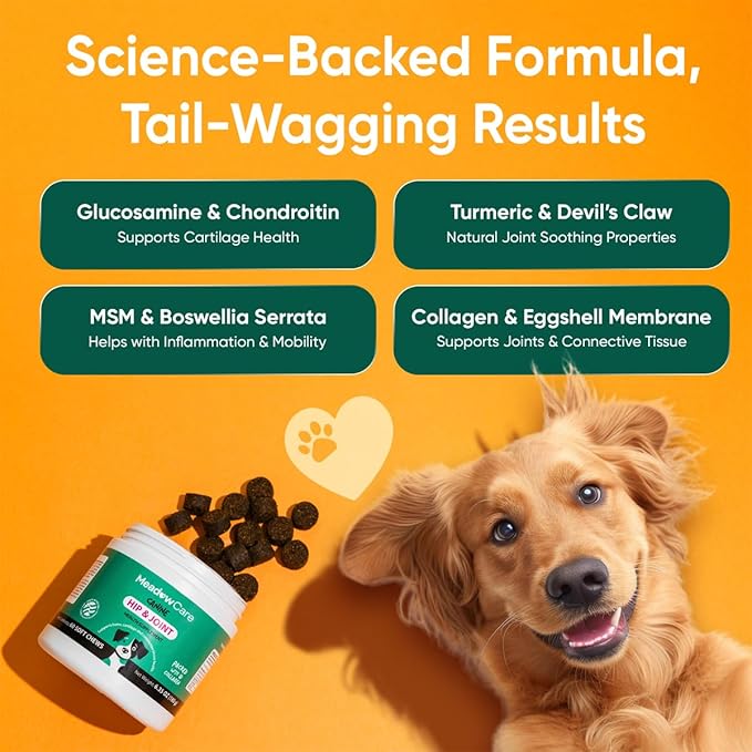 Hip and Joint Supplement for Dogs | MSM Chondroitin &amp Glucosamine for Dogs | Supports Bone Cartilage &amp Connective Tissue Health | Dog Joint Supplement | 60 Soft Chews180 g (6.35 oz) | Meadow