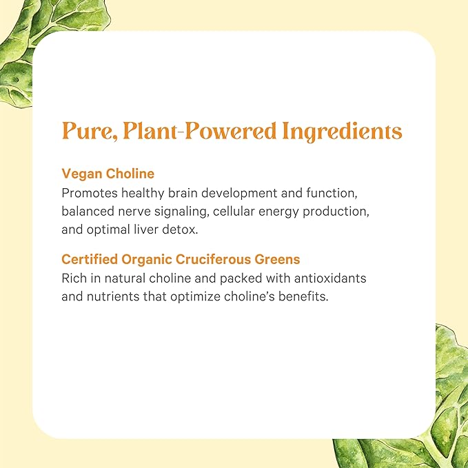 PURE SYNERGY Choline Complex | Vegan Choline Supplement Made with Organic Whole Foods | Non-GMO Bioavailable Complex | for Pregnancy Brain and Liver Health (60 Tablets)