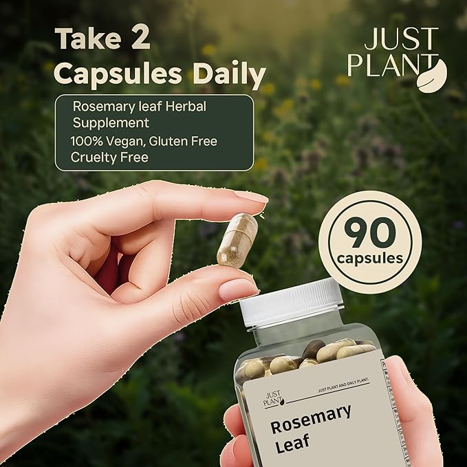 Rosemary Leaf Extract 500mg 90 Vegan Capsules Herbal Supplement for Mind Body &amp Hair Wellness Gluten-Free Plant-Based