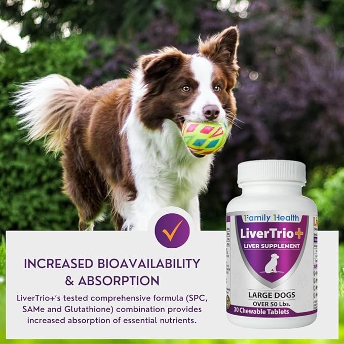 Comprehensive Liver Supplement (2 Pack - 60ct) Combining Same SPC Silybin A+B Gluathione Chew Tabs for Dogs 30Ct (2X Small - Medium)