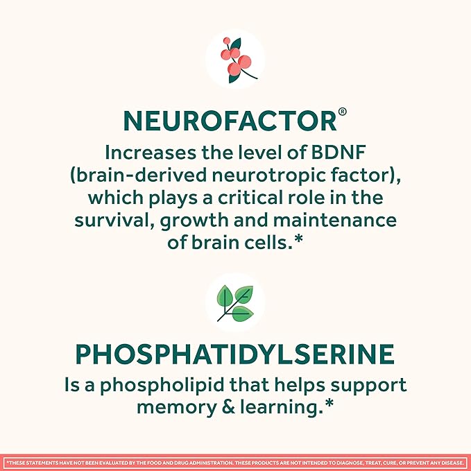 NEURIVA Original Decaffeinated Clinically Tested Nootropic Brain Supplement for Memory Focus &amp Concentration NeuroFactor &amp Phosphatidylserine 28ct Capsules