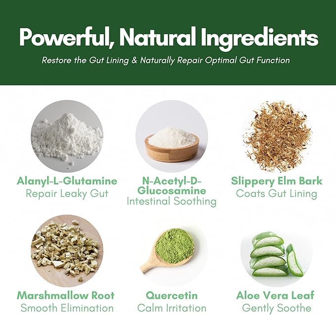 Core Correct Gut Health Powder - Formulated with L-Alanyl-L-Glutamine for Better Absorption and Healthy Intestinal Function