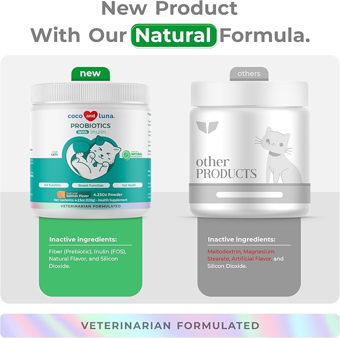 Lysine + Probiotics &amp Prebiotics for Cats - Immune Support Eye Function Bowel Function &amp Gut Health.