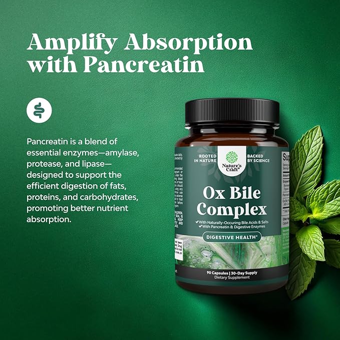 Digestive Enzymes with Ox Bile - Ox Bile Supplements for No Gallbladder with Trypsin Papain &amp Bromelain Enzyme for Pancrease Cleanse &amp Detox - Pancreatin Digestion Enzymes for Women &amp Men