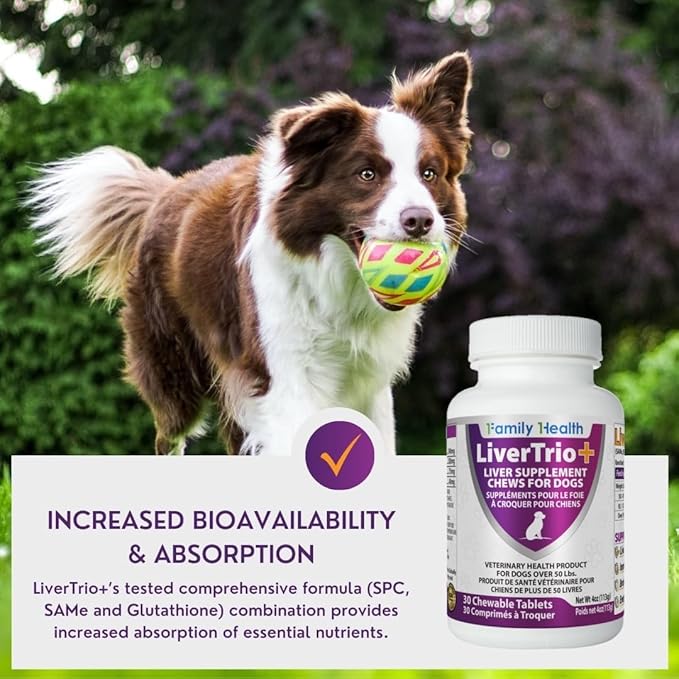 Comprehensive Liver Support Supplement for Smaller Dogs. Flavorful Chewable Tablets Combining Same SPC Silybin A+B + Glutathione 30Ct (Small - Medium)