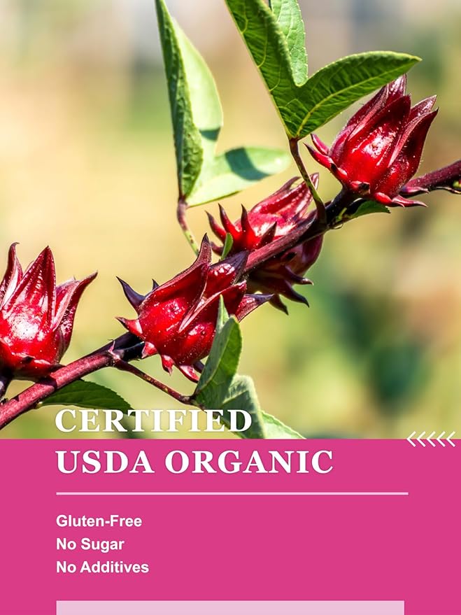 HYNTMYT Organic Hibiscus Tea Bags Premium USDA Organic Hibiscus Flowers Tea Bright &amp Tart Flavor Caffeine Free 120 Count