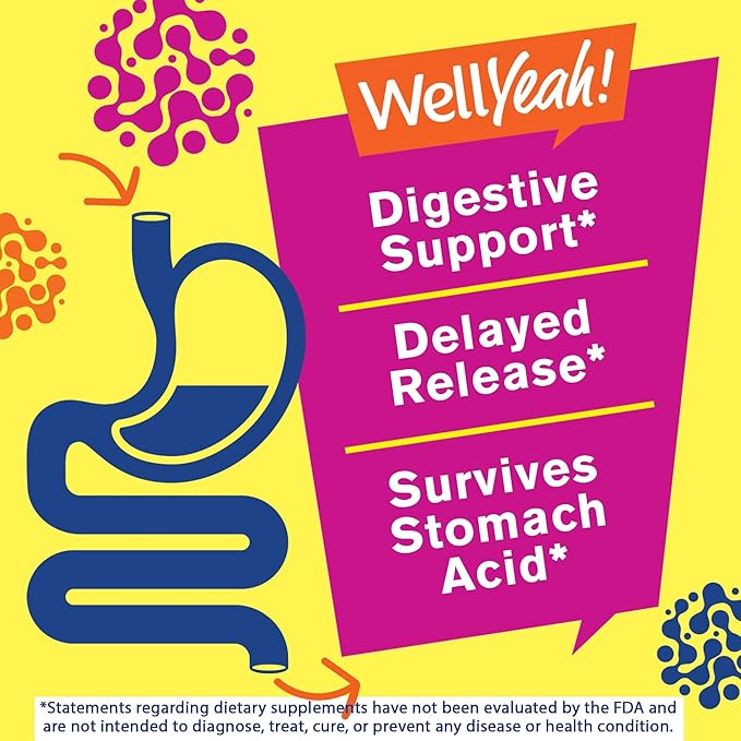 WellYeah Probiotics for Women Gummies (2 Pack) - 10 Billion CFU - for Digestive Support Gut Health and Feminine Health Support -Berry Flavor - Vegan Delayed Release Womens Probiotic - 60 Gummies