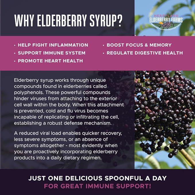Heartland Organic Elderberry Syrup - Cold Pressed Elderberry Juice Zero Water Added - Immune Support for Kids &amp Adults - Made with Raw Honey Ginger Cinnamon &amp Star Anise - 26 fl oz (750 ml)