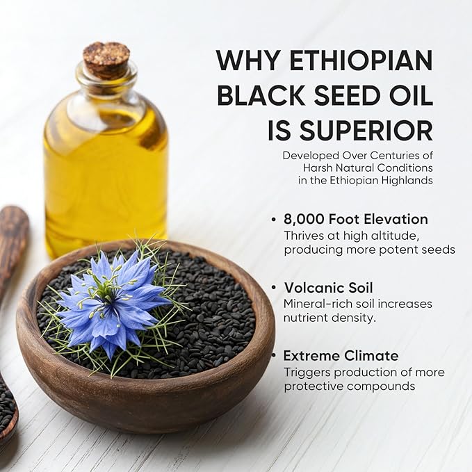 Ethiopian Black Seed Oil Capsules 4.64% Thymoquinone – Purely Nutrient Organic Cold Pressed Black Cumin Seed Oil Softgels Non-GMO Gluten-Free 60 Softgels