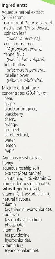 Salus Floradix Liquid Iron Formula 500Ml