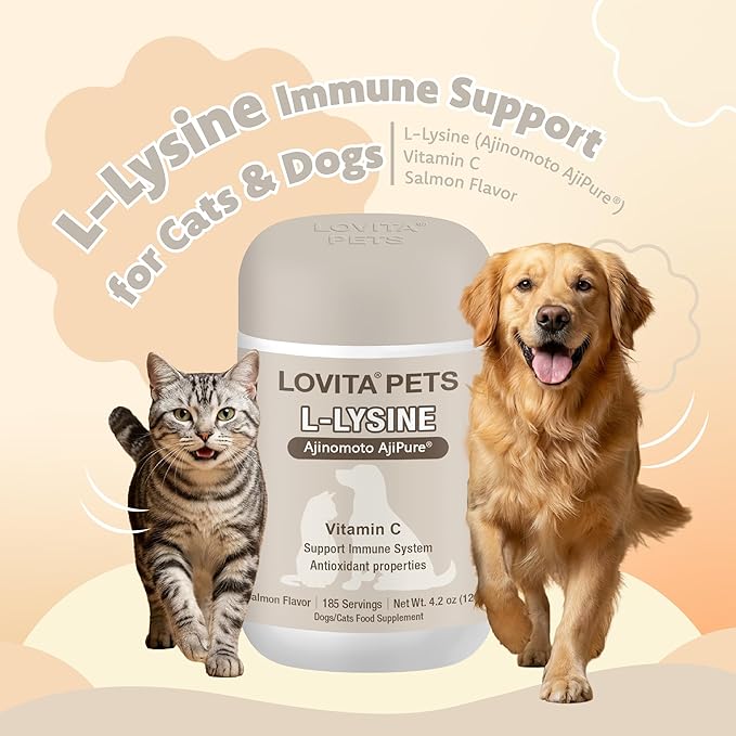 LOVITA Pets L-Lysine Powder for Cats &amp Dogs Immune Support Pet Supplement with AjiPure L-Lysine and Vitamin C Salmon Flavor for Daily Use Includes Scoop
