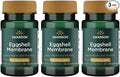 Swanson Eggshell Membrane 500 mg 30 Veg Caps (3 Pack)