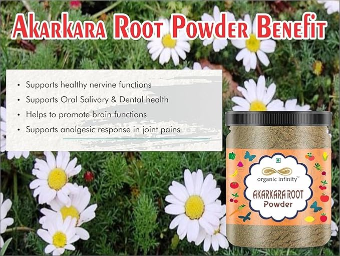 Viva Akarkara Root Powder | Anacyclus Pyrethrum | Pellitory Root Powder- 500 GM