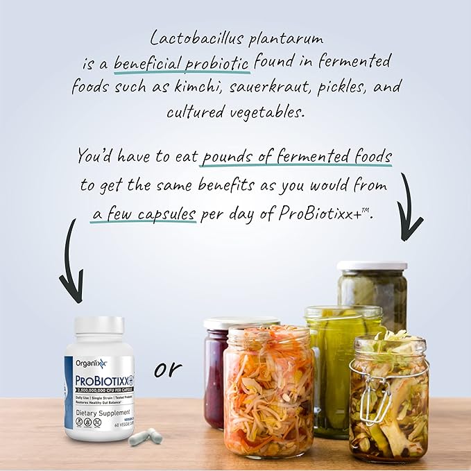 Organixx ProBiotixx+ Probiotic Supplement Daily Probiotics for Women &amp Men For Digestive Health Gut Health Immune Support 2.5 Billion CFU Gluten Free Non GMO Shelf Stable 60 Vegetarian Caps