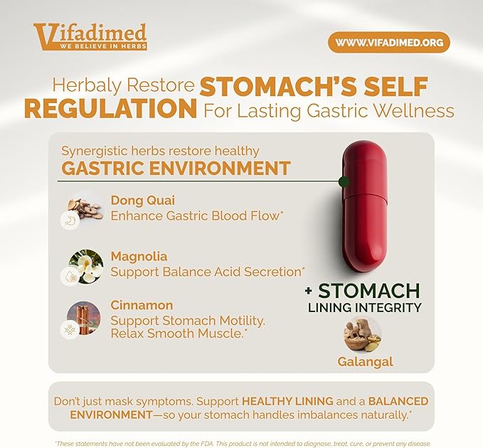 Stomach Plus Stomach Lining Support Gastritis Relief Stomachache Support Gastric Upset ReliefMotility Support with Galangal Dong Quai Cinnamon &amp Magnolia - 90 Capsules