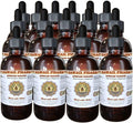 African Padauk Liquid Extract African Padauk (Pterocarpus Soyauxii) Dried Bark Tincture Supplement 15x4 oz