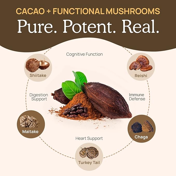 Real Mushrooms Organic Hot Chocolate Mix with Reishi Turkey Tail Chaga Shiitake Maitake – Cacao Powder Organic Mushroom– 5 Defenders Mushroom Cacao Powder Vegan Gluten-Free 15 Servings