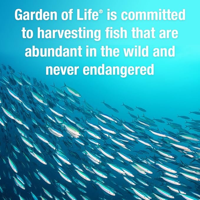 Garden of Life Oceans 3 Beyond Omega-3 with OmegaXanthin EPA DHA Supplements Fish Oil with 1200 mg Omega 3 Astaxanthin &amp Brown Seaweed Extract - 60 Softgels (Pack of 2)