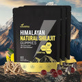 Shilajit Gummies with Ashwagandha &amp Gokshura | 85+ Trace Minerals &amp Fulvic Acid | Organic Non-GMO Micronutrient Supplement for Men &amp Women | 100% Pure &amp Natural(3000mg / 3 Bag)