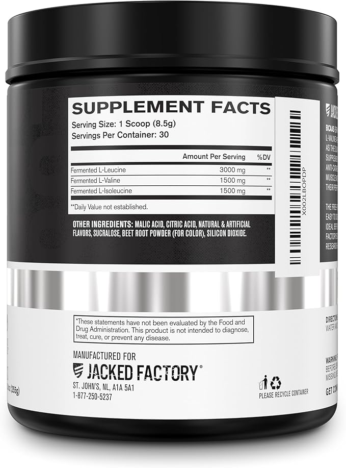 Jacked Factory Nitrosurge Pre-Workout in Arctic White &amp BCAA in Fruit Punch for Muscle Building and Recovery