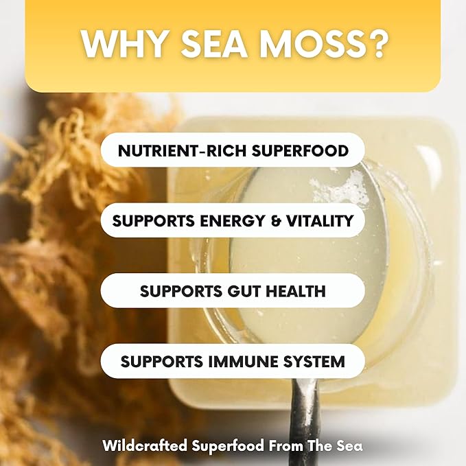 Wildcrafted Irish Sea Moss Gel 16 oz | Made in USA | Gold Seamoss Superfood | Rich in Vitamins &amp Minerals | Real Fruit | Nutritional Supplement | Pineapple