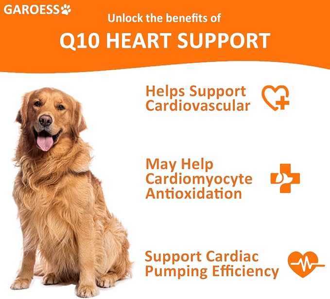 CoQ10 Heart Chew for Dogs Support Dogs Heart Health Cognitive &amp Energy CoQ10 Chews for Cardiovascular &amp Gum Health &amp antioxidant Protection Bacon Flavor 120 Count (1 Pack)