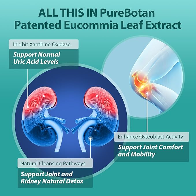 Natural Purge Uric Acid Flush Support Uric Acid Cleanse and Balance Joints and Mobility Tart Cherry Celery Seed and Eucommia Leaf Extract Feet and Joint Support Supplement 60 Capsules