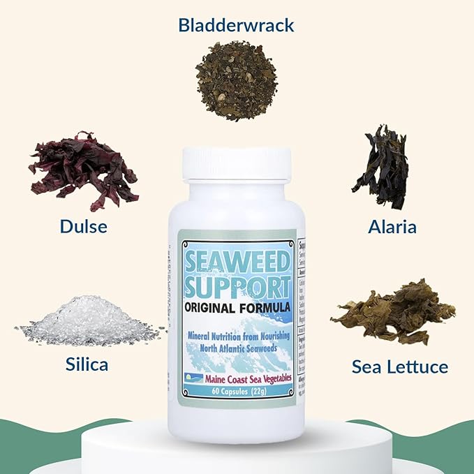 Maine Coast Sea Vegetables Seaweed Support Original Formula | Natural Source of Iodine from Seaweed | Daily Use Iodine Supplement | Organic Alaria Sea Lettuce Dulse &amp Bladderwrack blend | 60 Cap