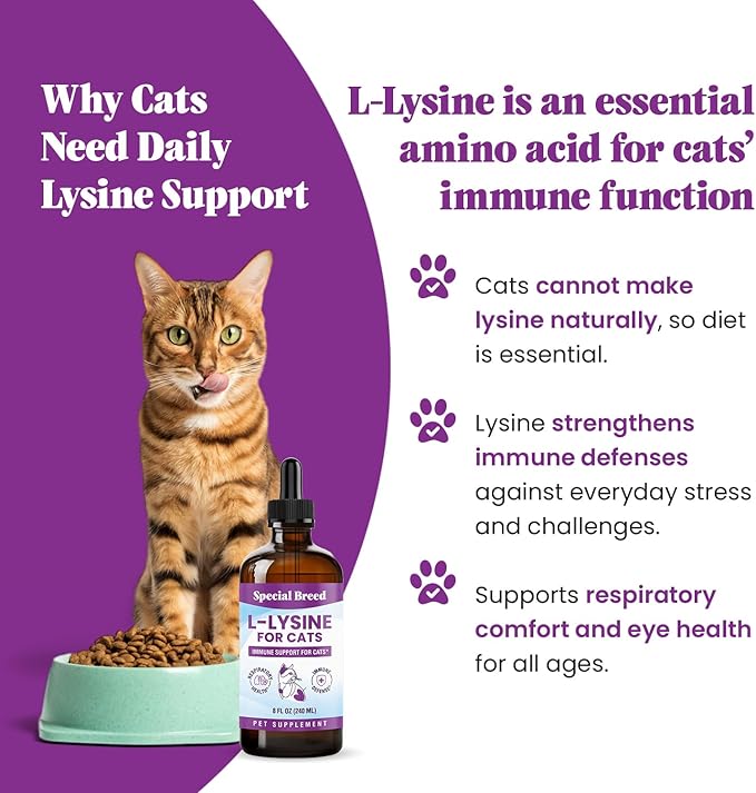 L-Lysine Supplement for Cats &amp Kittens – Immune Support Liquid for Feline Respiratory Health Sneezing Runny Nose &amp Watery Eyes – 250mg Lysine Cat Drops with Vitamins Complex – Chicken Flavor
