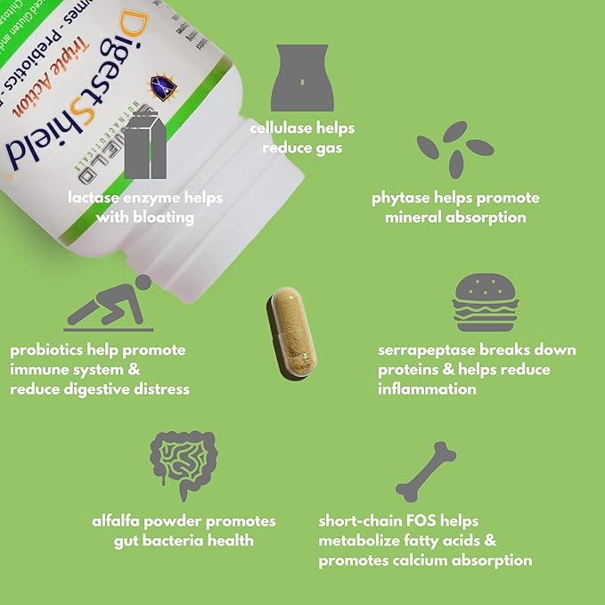 DigestShield® Probiotic &amp Prebiotic Supplement + Digestive Enzymes Beat the Bloat Safely Digest Dairy Gluten and Processed Foods Reduce Fat Absorption with Chitosan 90-Meal Supply