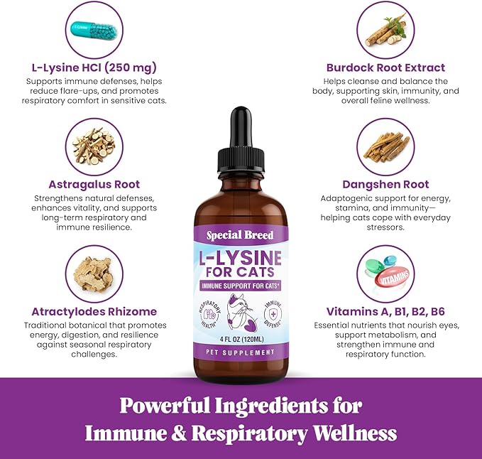 L-Lysine Supplement for Cats &amp Kittens – Immune Support Liquid for Feline Respiratory Health Sneezing Runny Nose &amp Watery Eyes – 250mg Lysine Cat Drops with Vitamins Complex – Chicken Flavor