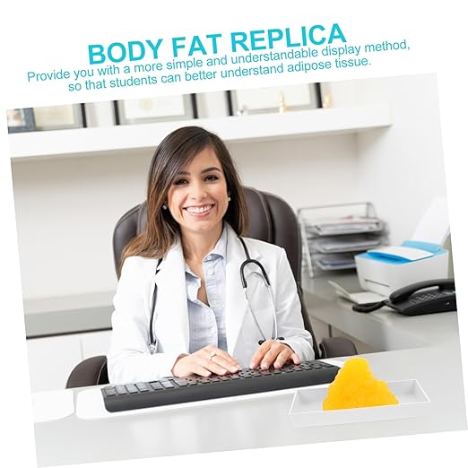 PartyKindom Teaching Replica with Base 1-Pound Human Fat Model for Exercise Fitness Education
