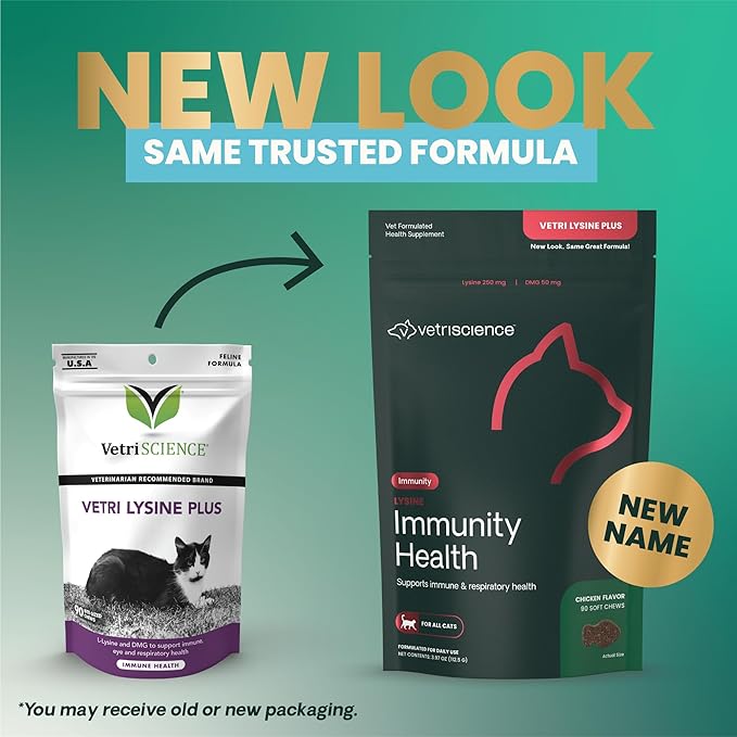 VetriScience Lysine Immunity Health Chews 250 mg Lysine Plus Immune Supplement for Cats and Kittens with Allergies Sneezing Runny Nose and Watery Eyes Chicken90 Count (Pack of 2)