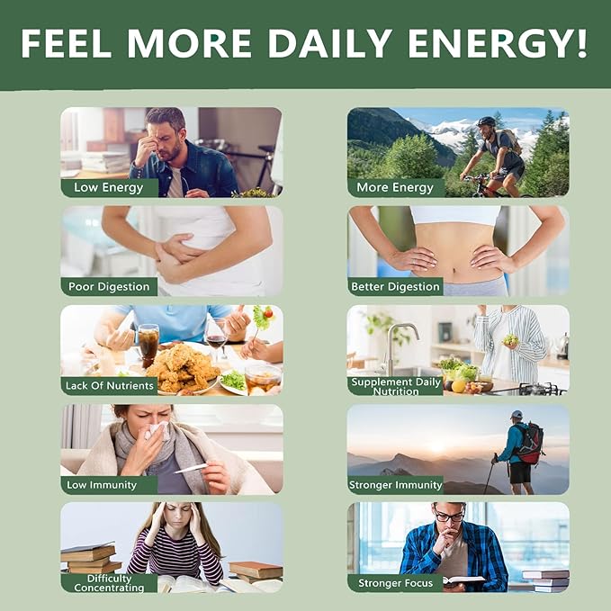 Floraviva Rhodiola Rosea Capsules Natural Adaptogenic Herb 500mg Organic Rhodiola Rosea Extract Supplement for Stress Support Balance Energy Immune Function Non-GMO 60 Vegan Capsules