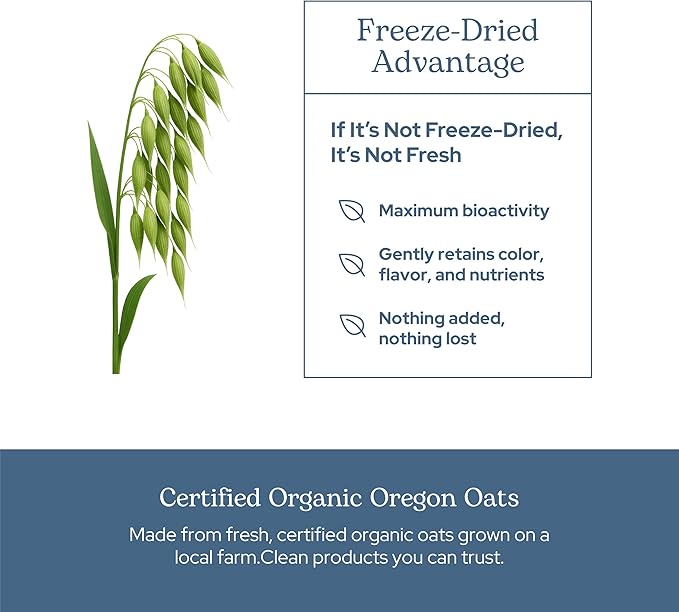 Eclectic Herb - Premium Raw Freeze-Dried Oats Capsules | Milky Green Oats Avena Sativa | Nervous System Support | Natural Dietary Supplement | Organic Vegan Non-GMO (90 CT | 375 mg)