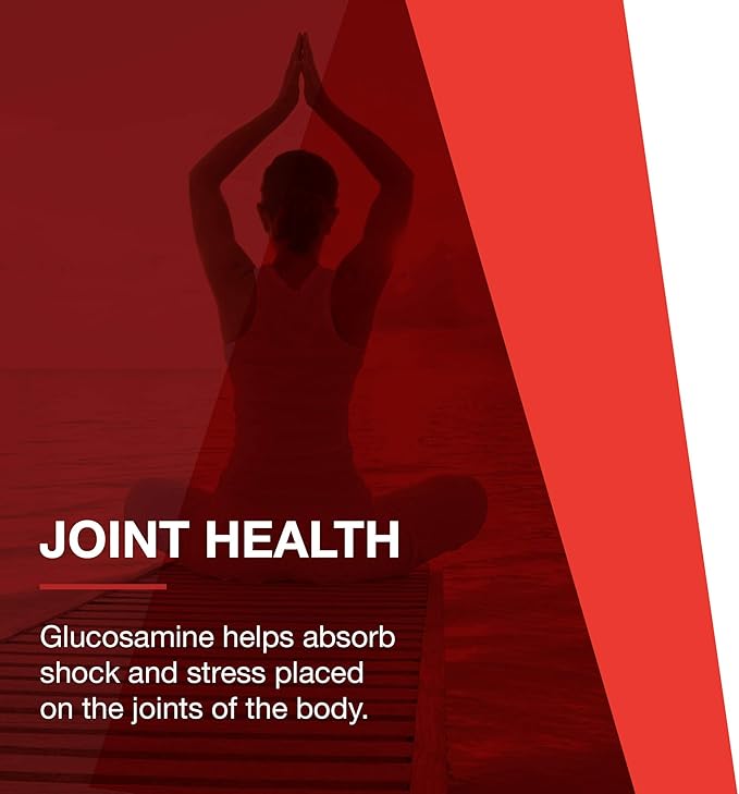 PROTOCOL FOR LIFE BALANCE Glucosamine &amp Chondroitin with MSM - Joint Support* - Chondroitin MSM Supplement - Non-GMO &amp Dairy Free - 180 Veg Caps