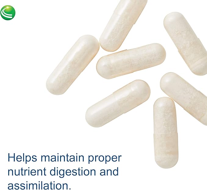 Nutra Biogenesis PanZyme - Betaine HCL with Pepsin Pancreatin Lipase and Protease Cellular Energy Nervous System and Metabolic Health Support - 180 Capsules