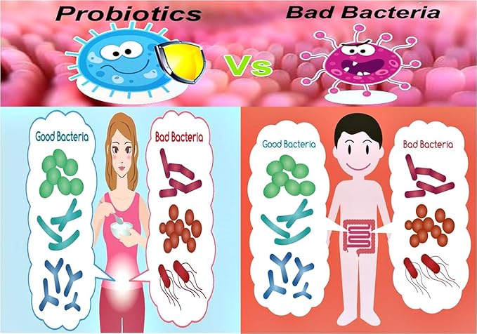 Nova Probiotics Kid 1-12 Years 2 Billion 60g