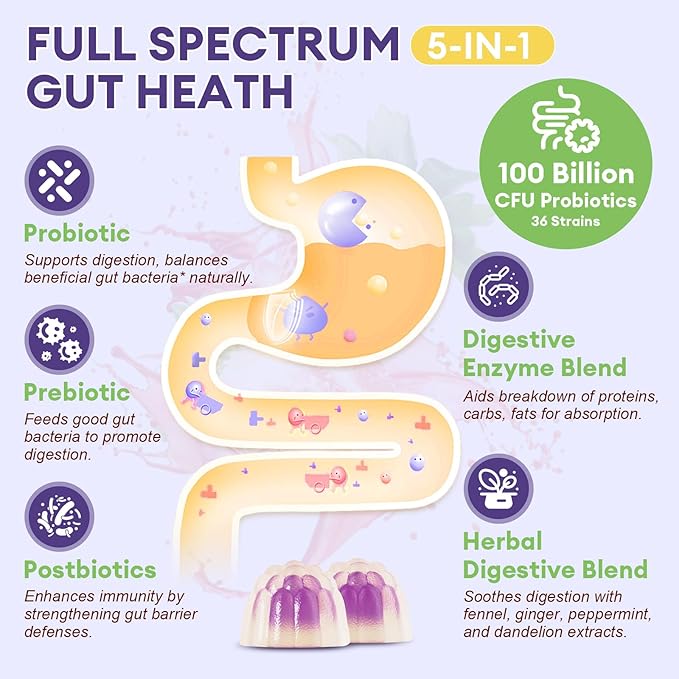 Totaria 2 PCS Sugar Free 5-in-1 Probiotic Prebiotic Postbiotic Gummy 36 Strains Probiotics for Women Men with Digestive Enzymes Peppermint Complete Immune Gut &amp Digestive Support Grape Flavor