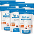 L-Lysine Soft Chews for Cats (60 Soft Chews) – Supports Immune Respiratory and Eye Health. Eases Sneezing Runny Nose and Watery Eyes. Salmon Flavor - (6 Pack)