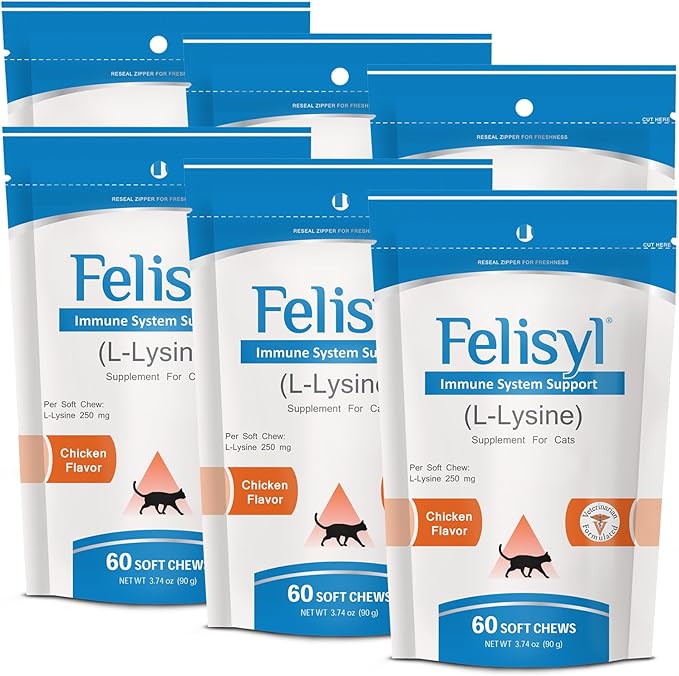 L-Lysine Soft Chews for Cats (60 Soft Chews) – Supports Immune Respiratory and Eye Health. Eases Sneezing Runny Nose and Watery Eyes. Salmon Flavor - (6 Pack)