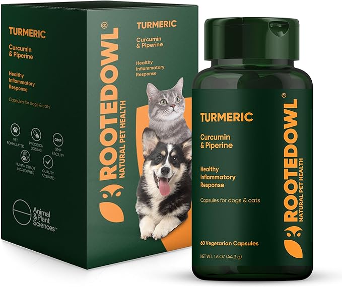 Rooted Owl Turmeric - Turmeric Supplement for Dogs and Cats - with Curcumin Piperine and Vitamin C for Anti-Inflammatory Relief - 60/ct