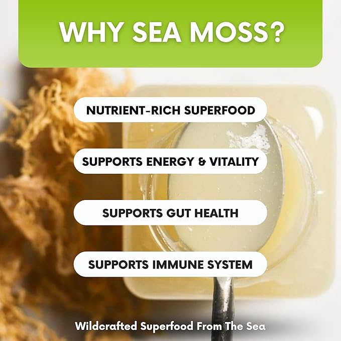 Wildcrafted Irish Sea Moss Gel 16 oz | Made in USA | Gold Seamoss Superfood | Rich in Vitamins &amp Minerals | Real Fruit | Nutritional Supplement | Apple Cinnamon