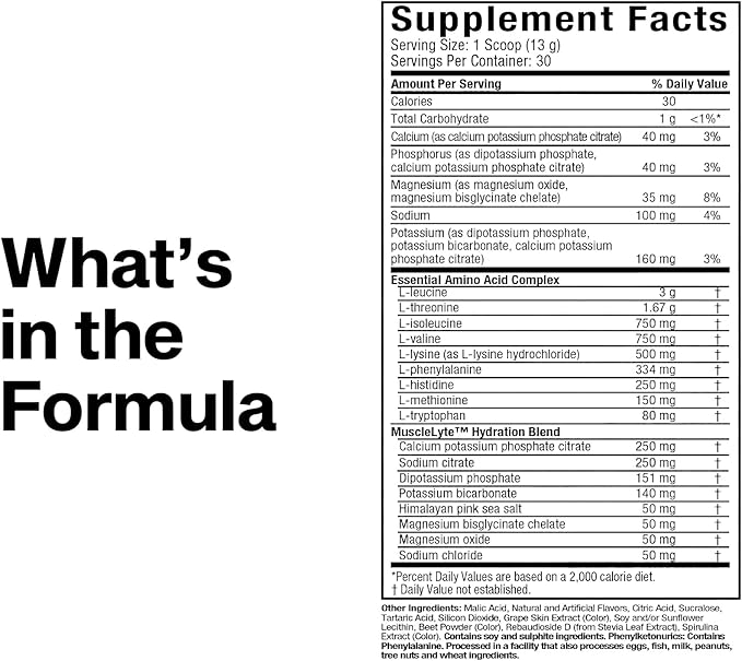 MuscleTech | Platinum Essential Amino Acids Supplement with Electrolytes | Pre-Workout Powder for Energy Muscle Growth &amp Strength Builder for Men &amp Women | 387 grams | 30 Servings
