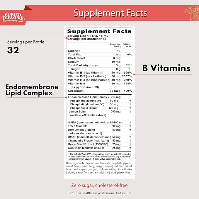 Buried Treasure - Added Attention - Children's Learning Support with GABA DHA Vitamin B and Herbal Blend - Aid Healthy Brain Functions - Improved Short-Term Auditory Memory Focus &amp Behavior 16.54
