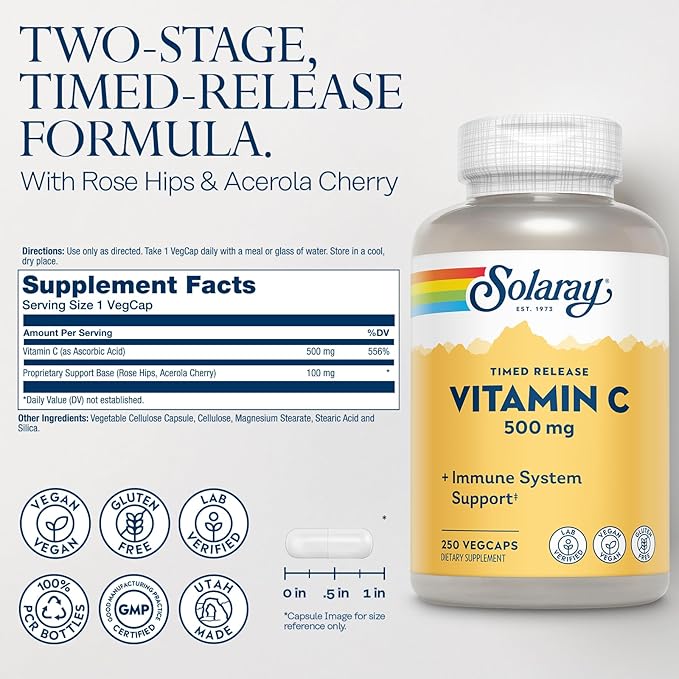 SOLARAY Vitamin C 500mg Two-Stage Timed Release - Antioxidant and Immune Support Supplement - Vitamin C with Rose HIPS and Acerola Vegan Gluten Free 60-Day Guarantee 250 Servings 250 VegCaps